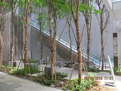 Sbf Center (D1), Office #335569901